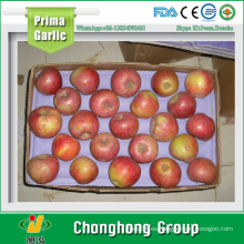 2015 Nuevo Jiguan Apple 20kg / carton